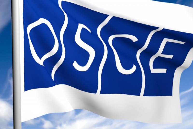 Statement of Abkhazian Civil Organizations on the Resolution of the OSCE Parliamentary Assembly